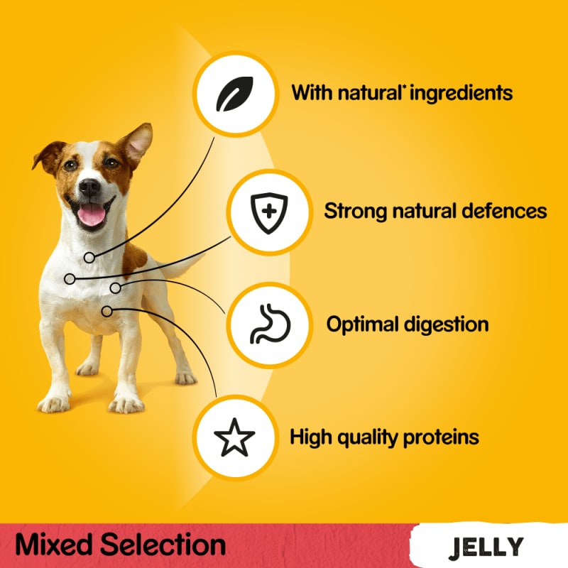 Pedigree puppy 5kg price discount