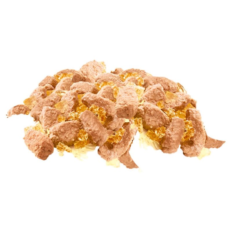 Pedigree Senior Wet Dog Food Pouches