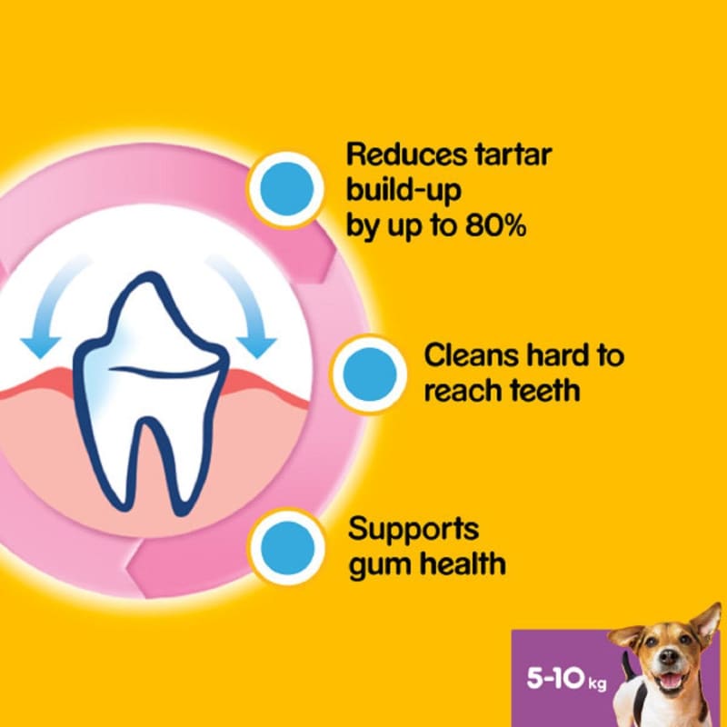 Pedigree sales dentastix biscuits