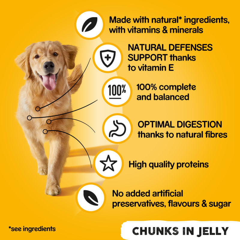 Pedigree jelly tins store