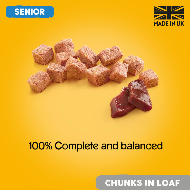 Pedigree senior wet outlet dog food