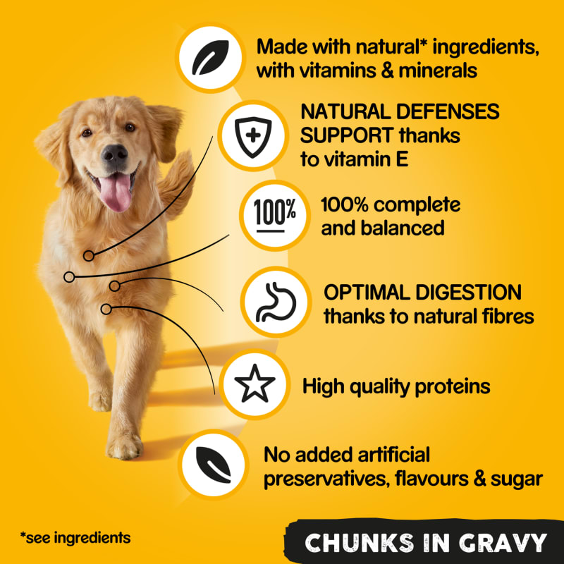 Pedigree for hotsell golden retriever