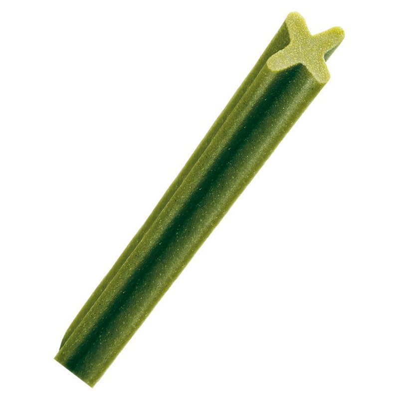 Mint dentastix top