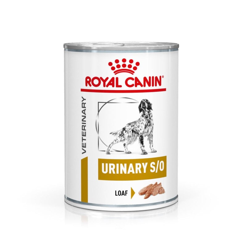 Royal Canin Urinary S O Adult Wet Pet Supermarket
