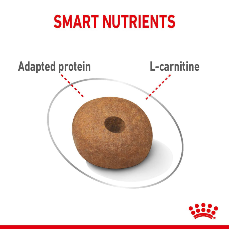 Royal canin dog food medium light weight care 13kg sales