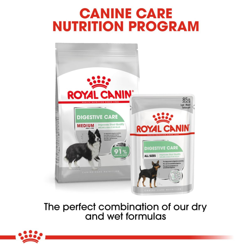 Royal canin digestive hot sale care medium dog