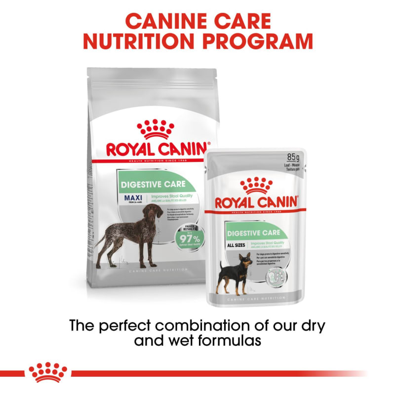 Royal canin shop digestive care dog