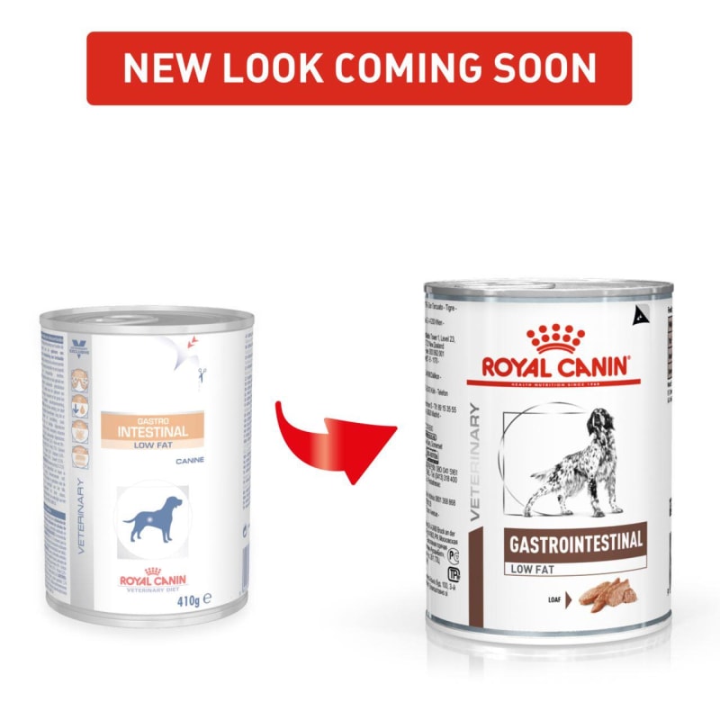 Royal Canin Veterinary Diet Dog Food Intestinal