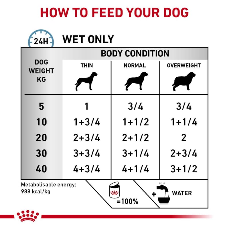 Royal canin wet food feeding guide online