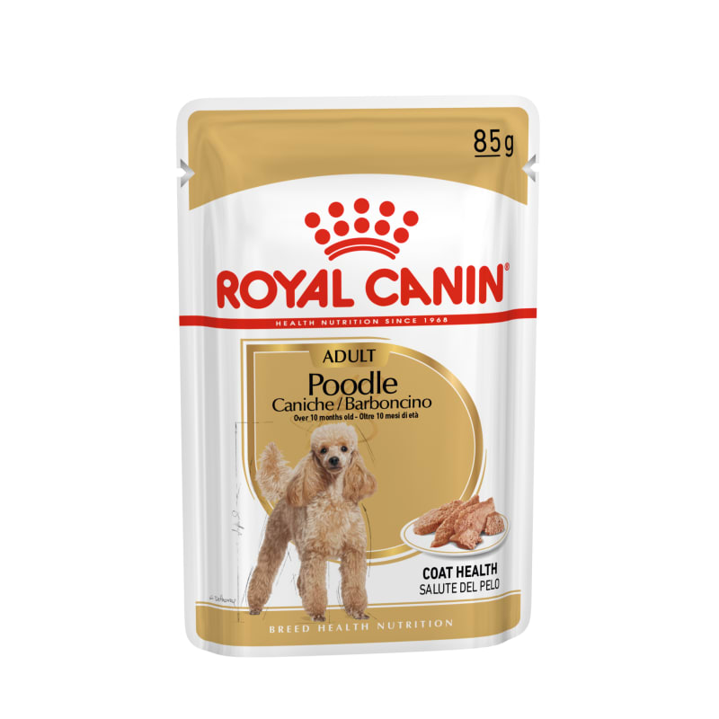 Royal Canin Poodle Adult Dog Wet Pet Supermarket