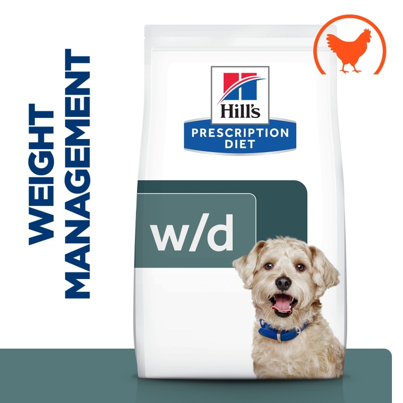 Diabetes in dogs uk 2025