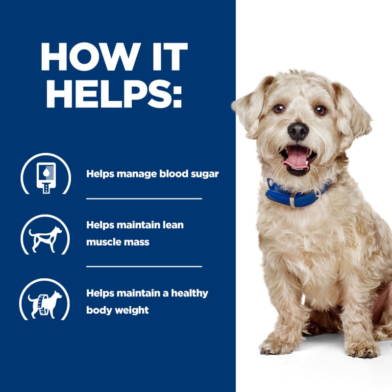 Wd dog sale food