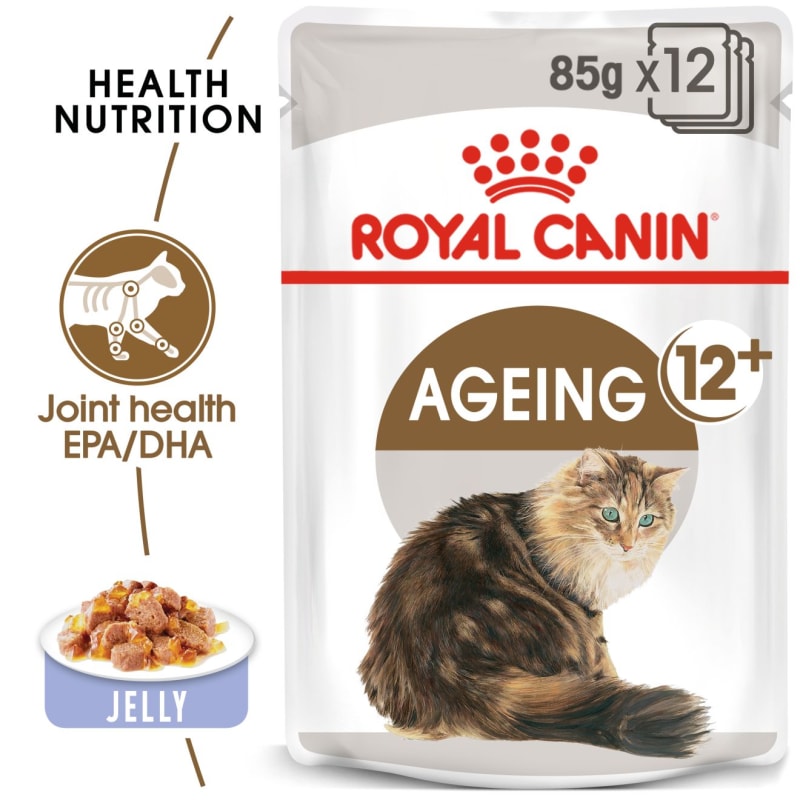 Cat food for old skinny cats deals