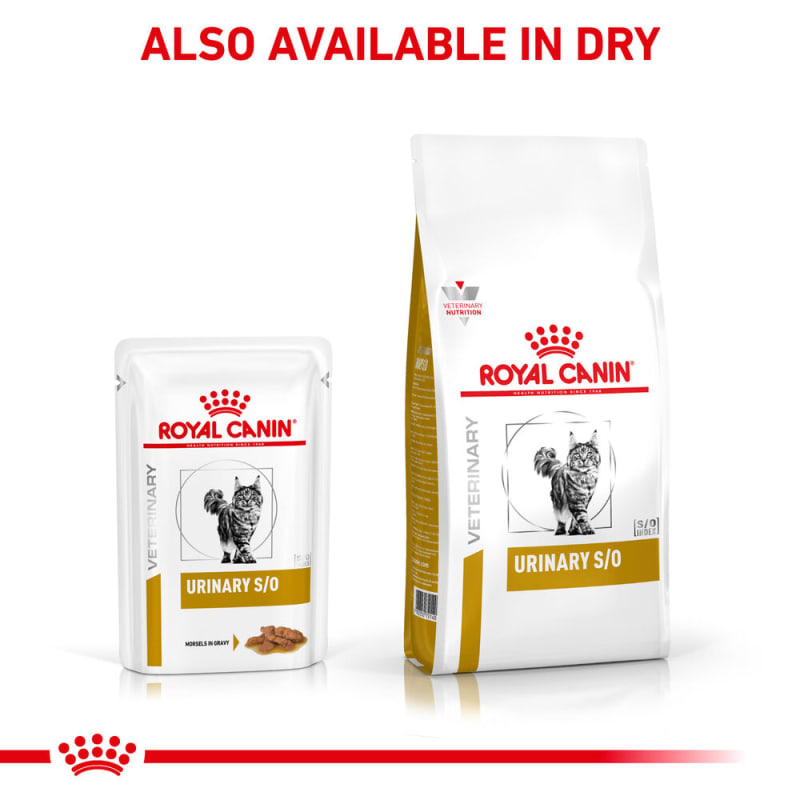 Royal Canin Veterinary Health Pet Supermarket