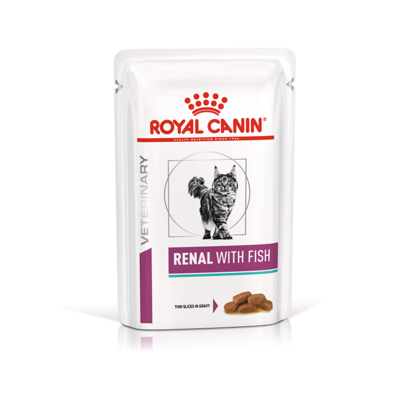 Best canned cat food for kidney disease top