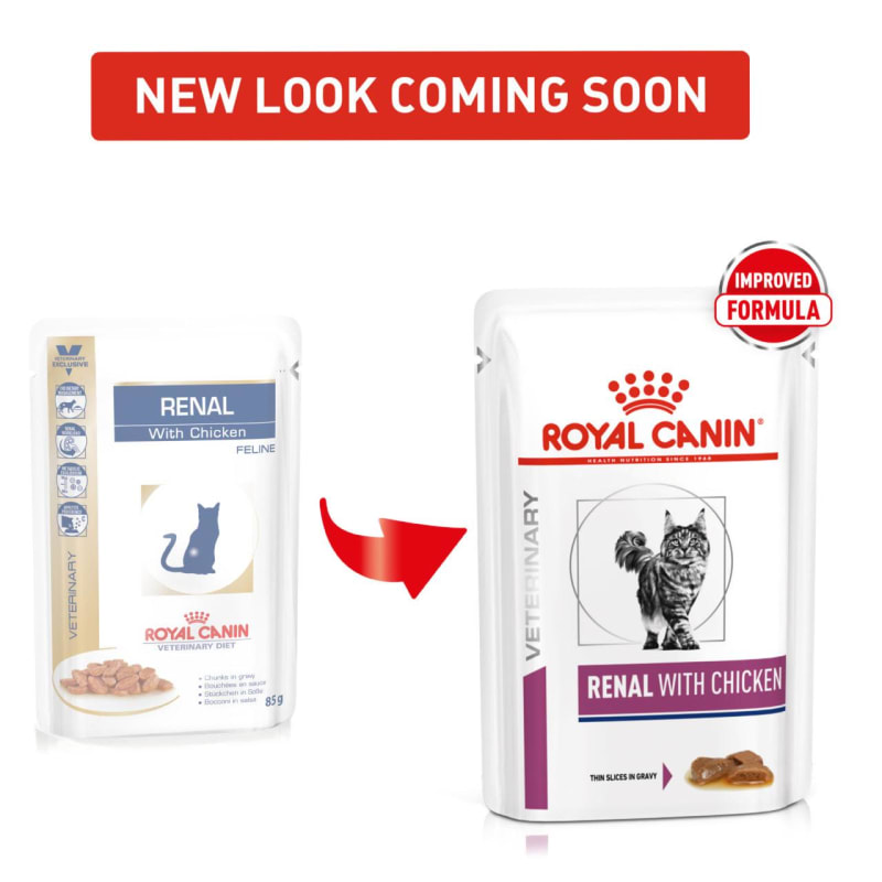 Royal canin renal cat food hotsell pouches chicken