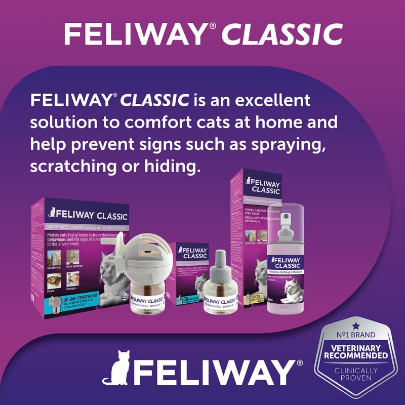 FELIWAY Classic 30 day Refill comforts cats, helps solve