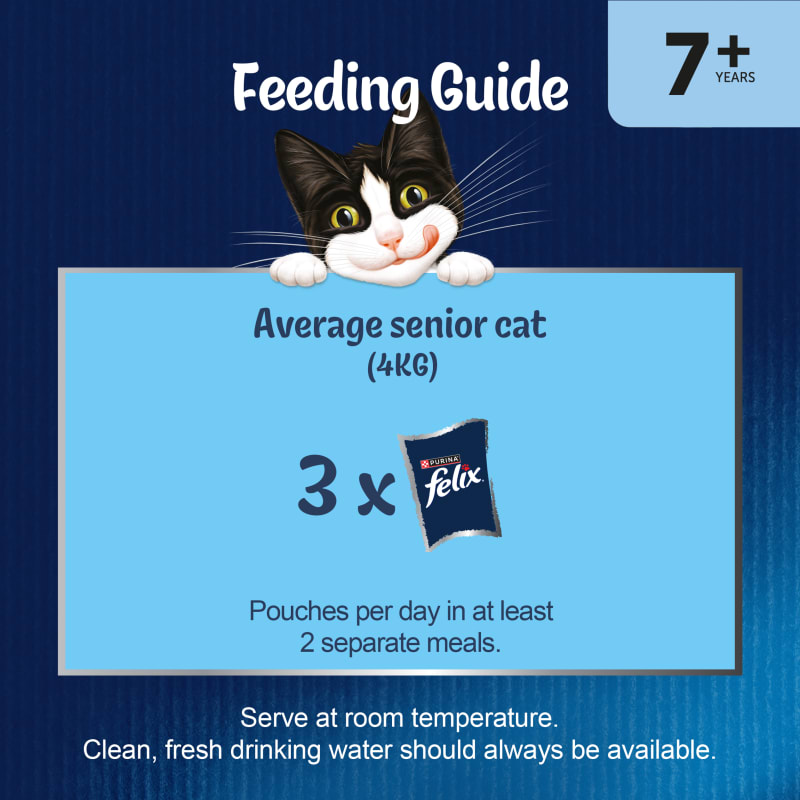 Sainsburys felix cat food as good as it looks shop
