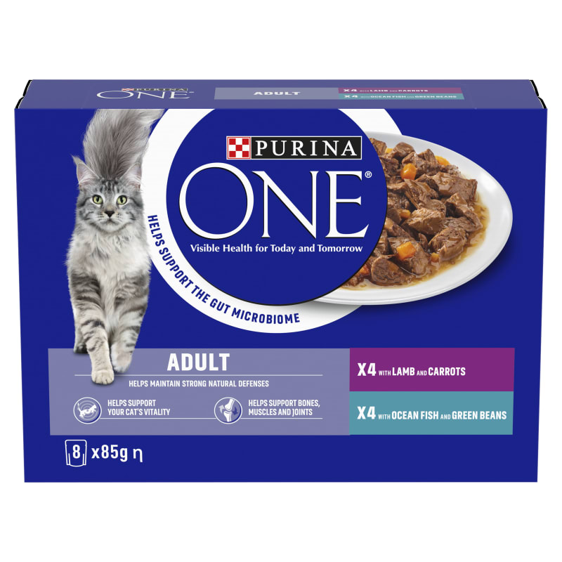 Cat and lamb best sale