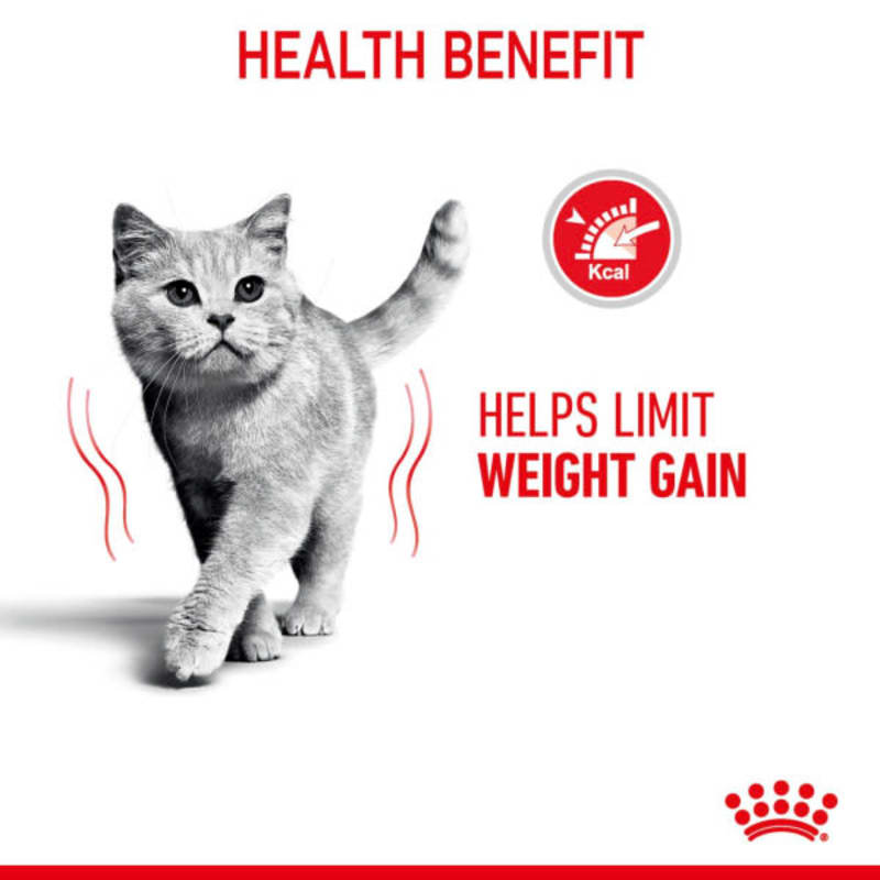 Royal canin feline weight loss clearance