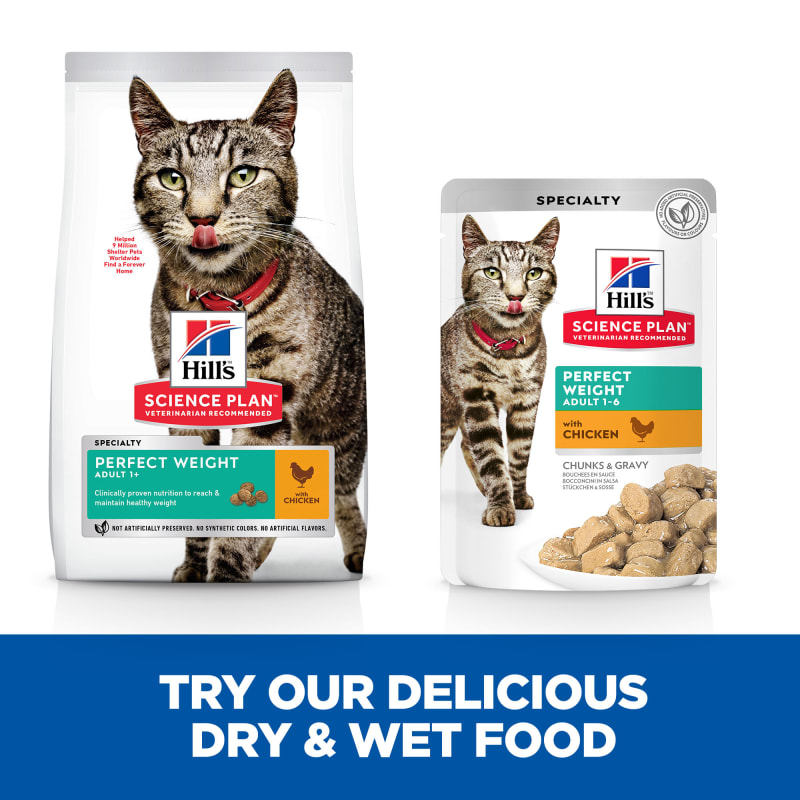 Hill's science diet cat food for healthy weight hot sale and weight management