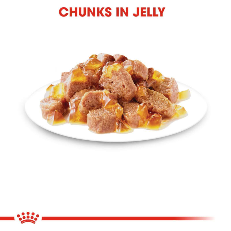 Royal canin instinctive jelly outlet