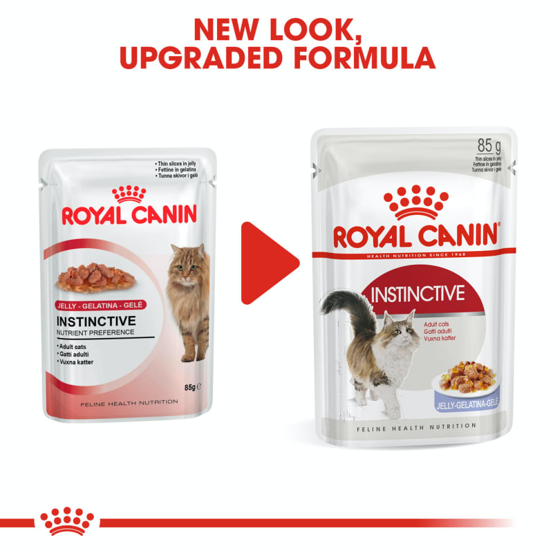 Royal canin instinctive jelly hot sale