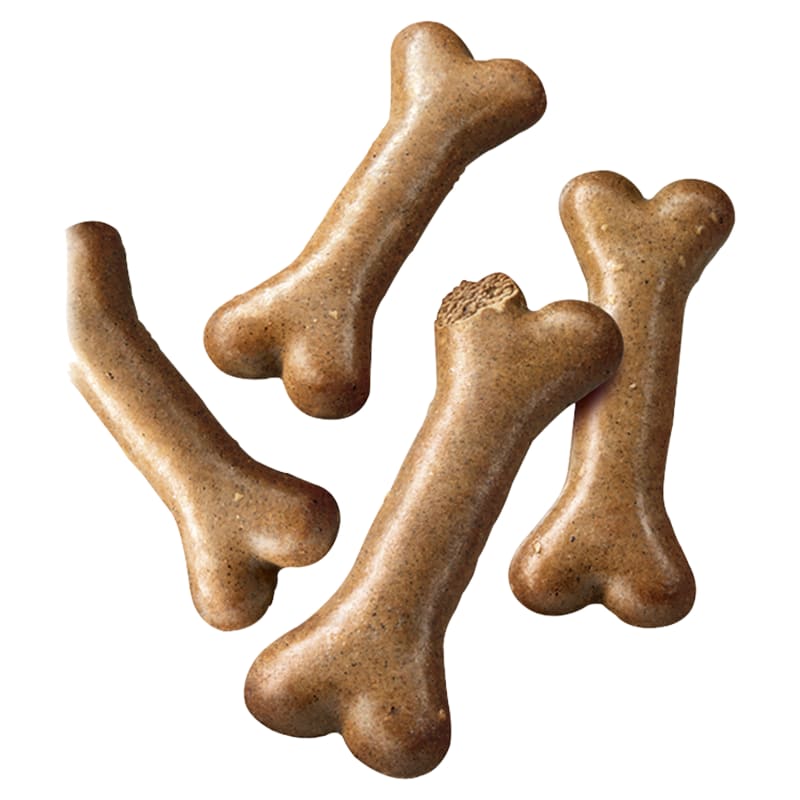 Shape of pedigree biscrok biscuits online