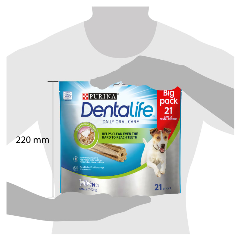 Chewy dog top food purina