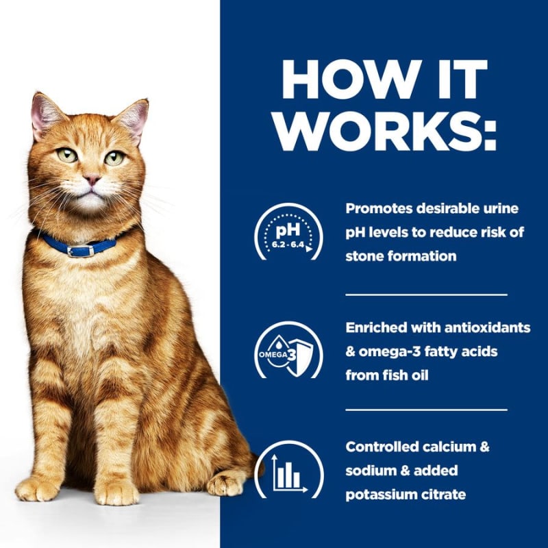 Urinary care hills cat sales