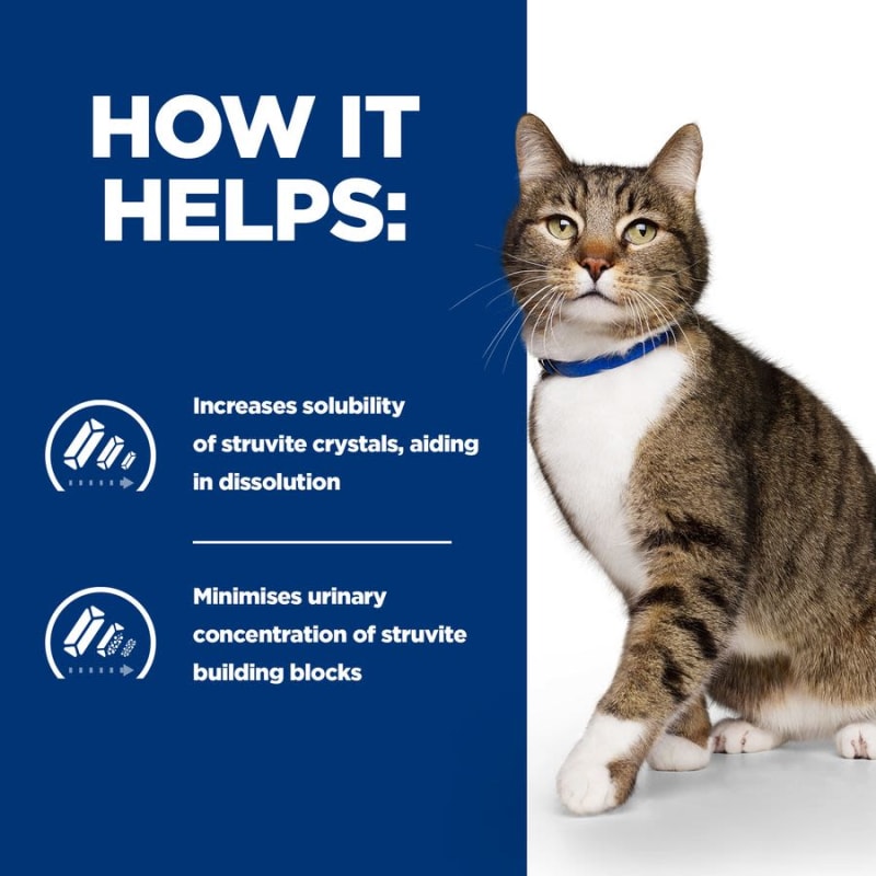 Sd hills cat food hotsell