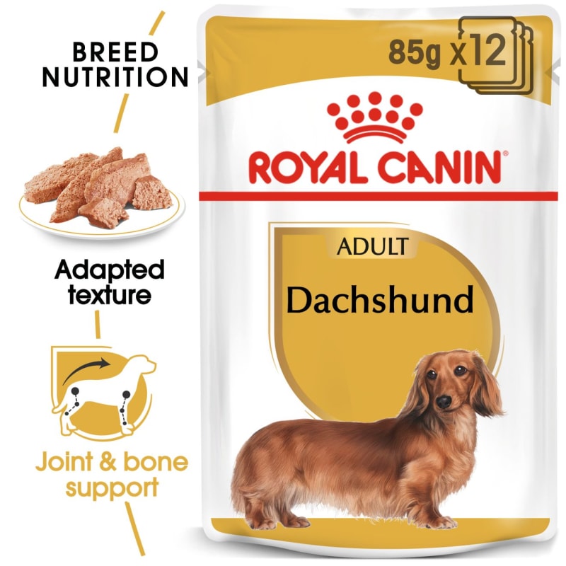 Best dry food for dachshunds shop
