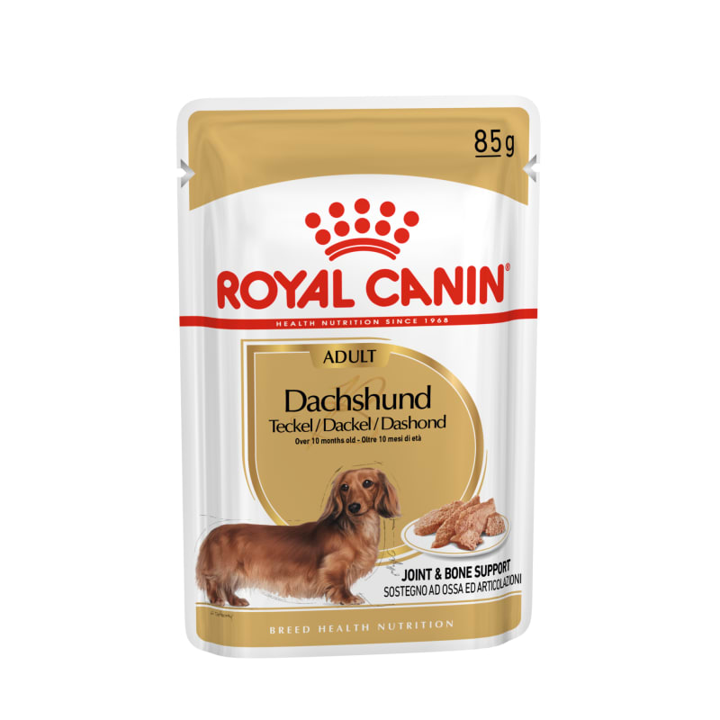 Royal canin shop dachshund junior