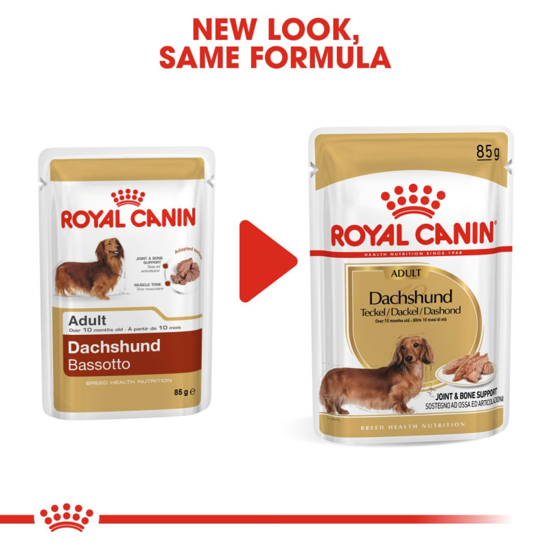 Dachshund vitamins top
