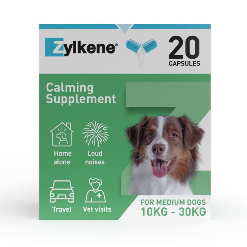 Dog calming medication uk clearance