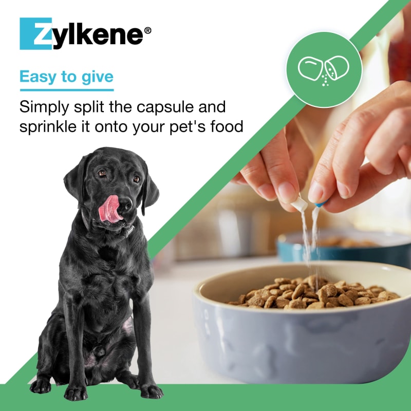 Zylkene capsules for dogs on sale
