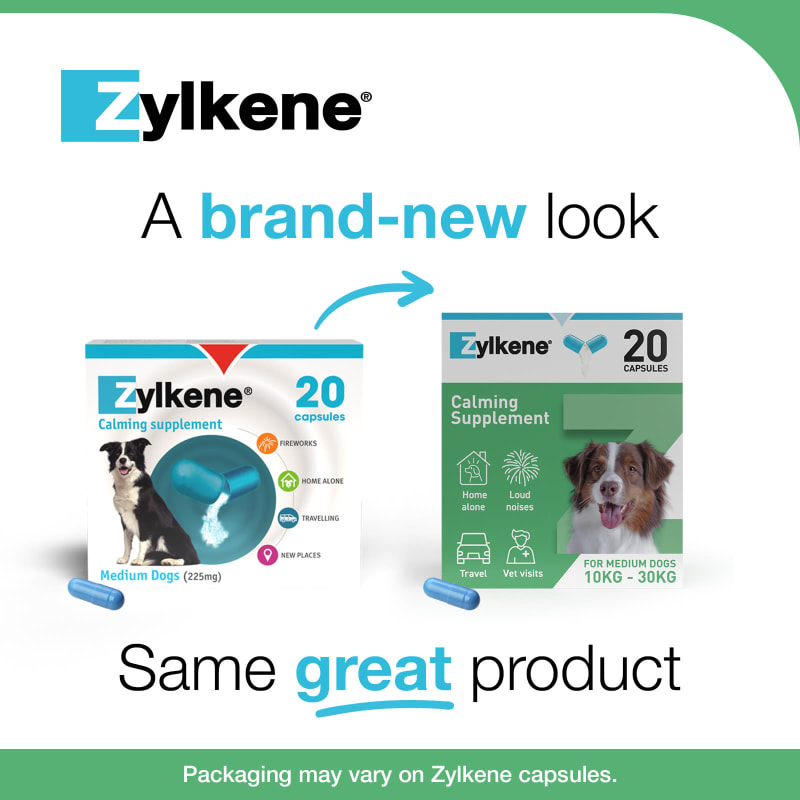 Zylkene Calming Supplement for Dogs Pet Supermarket