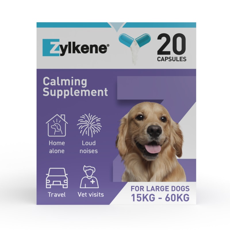 Dog calming tablets zylkene deals