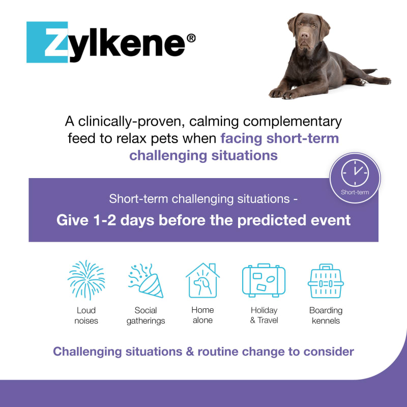 Zylkene for large dogs 2025