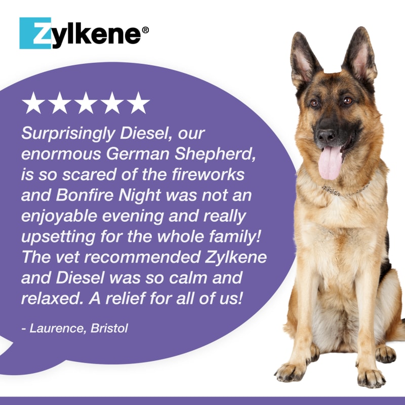 Zylkene Calming Supplement for Dogs Pet Supermarket