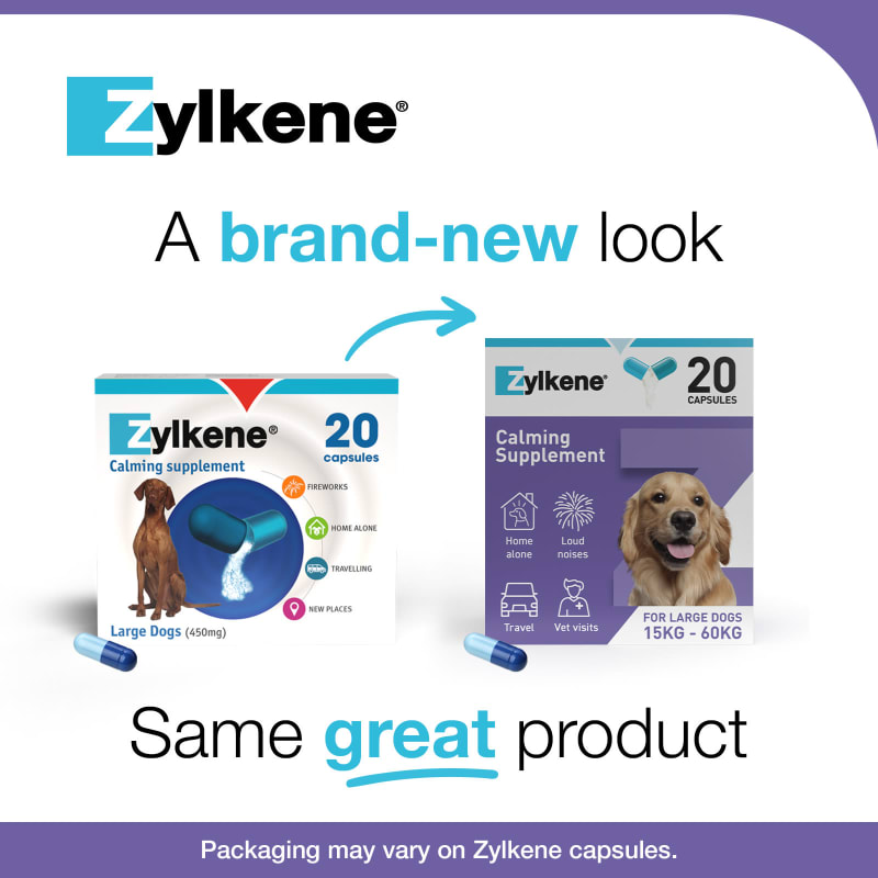 Dog calming tablets zylkene cheap