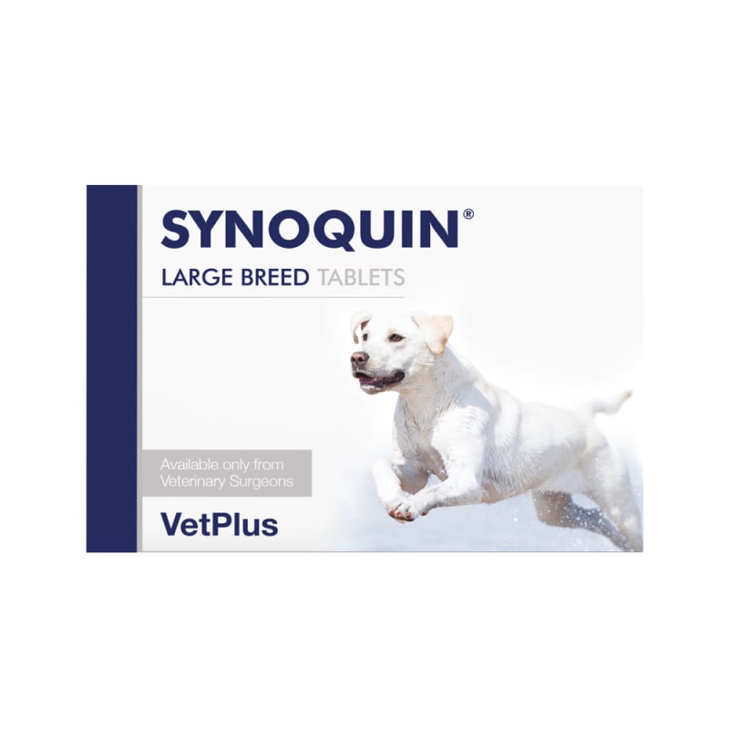 Synoquin puppy deals