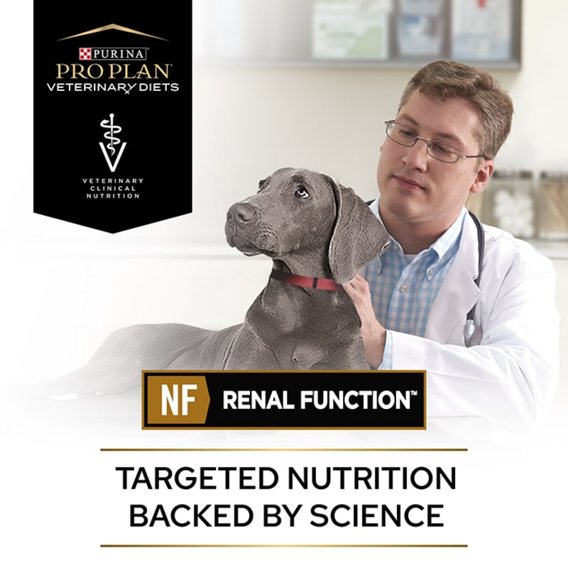 Purina renal dog food store