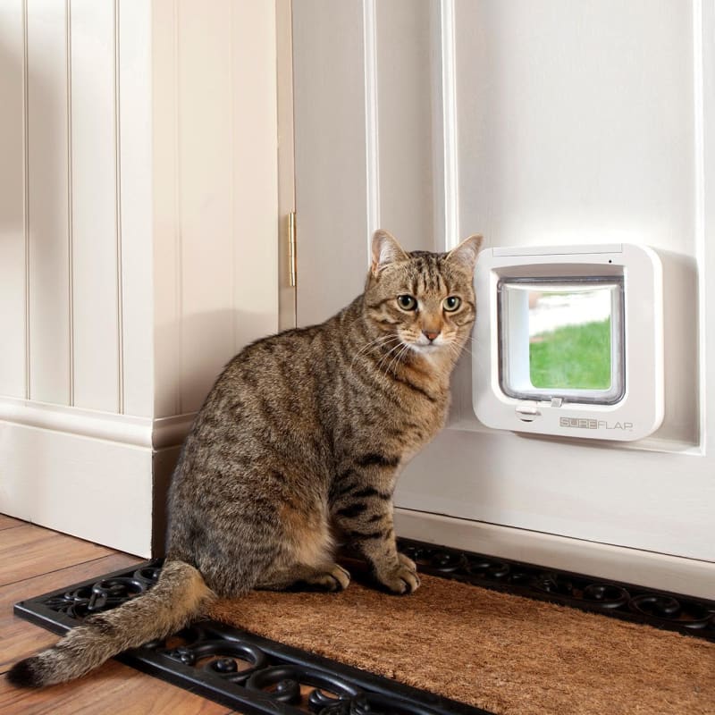 Fat cat cat flap online