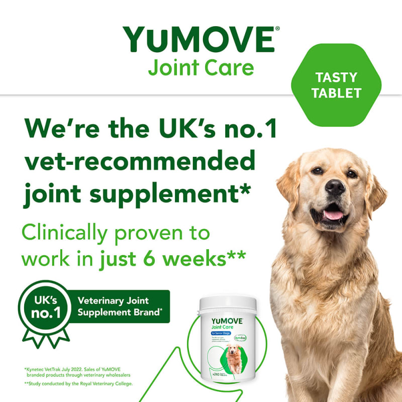 Joint care for older discount dogs
