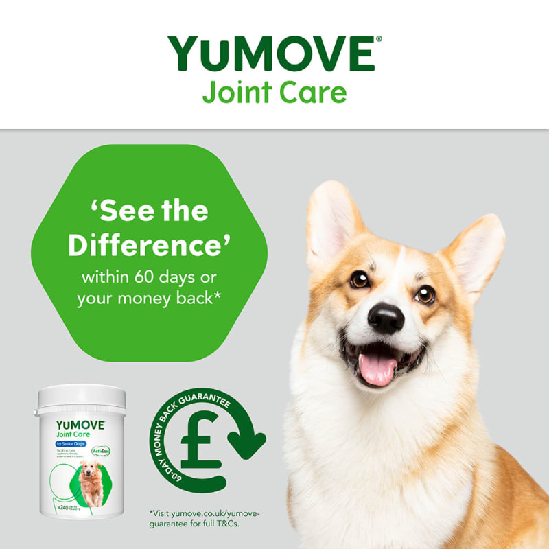 Yumove dog 300 tablets clearance