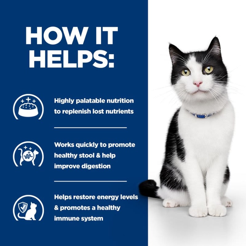 Id digestive care cat food top