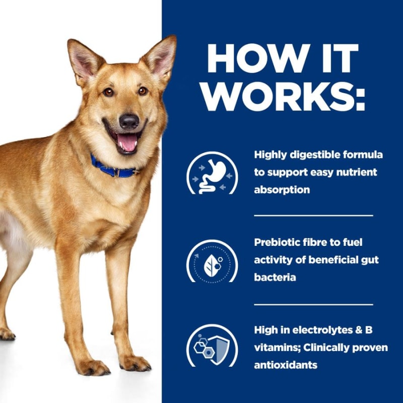 Easily digestible dog food deals
