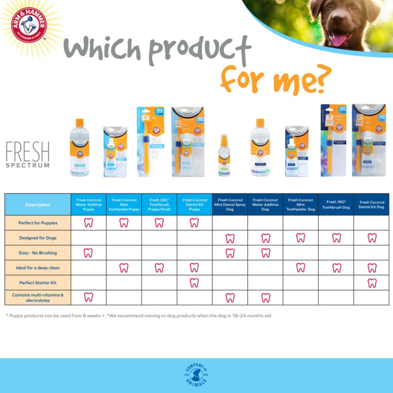 Arm and hammer dog toothpaste sales