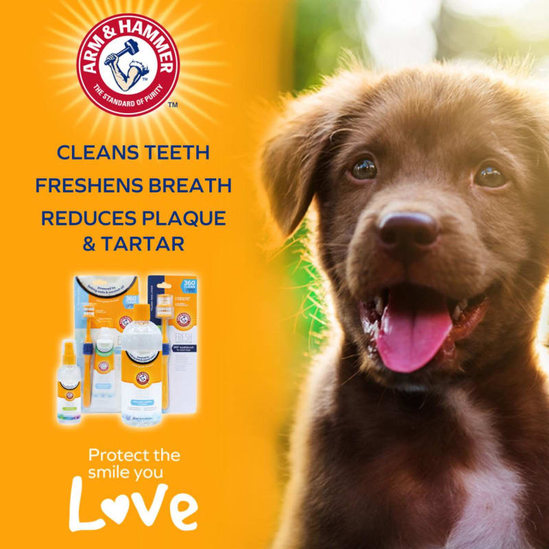 Dog toothpaste uk top